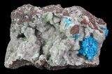 Vibrant Blue Cavansite Clusters on Stilbite - India #67792-1